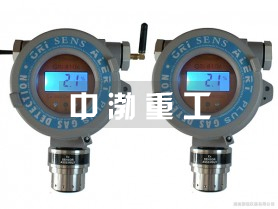 固體氣體檢測(cè)儀